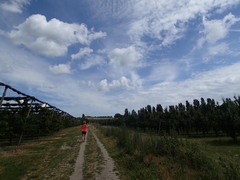 Storeblt Naturmaraton 2016 - Tor Rnnow