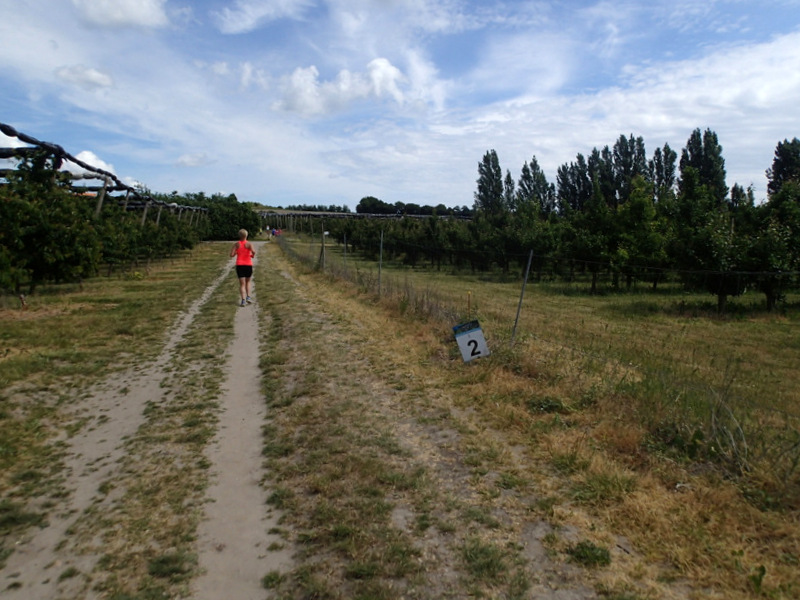 Storeblt Naturmaraton 2016 - Tor Rnnow