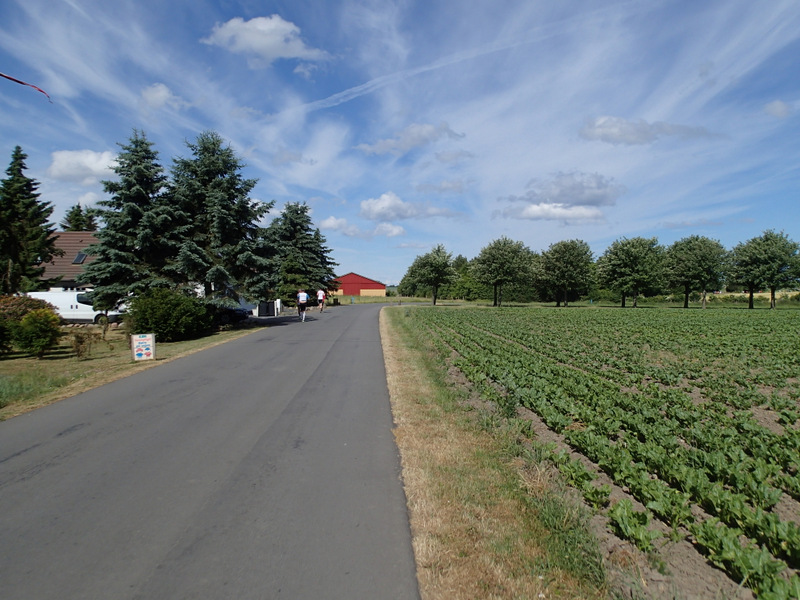 Storeblt Naturmaraton 2016 - Tor Rnnow