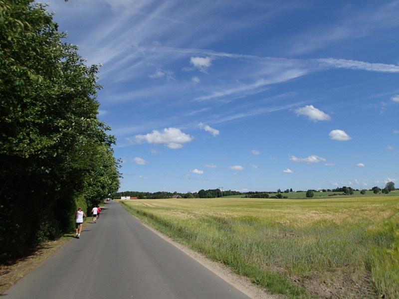 Storeblt Naturmaraton 2016 - Tor Rnnow