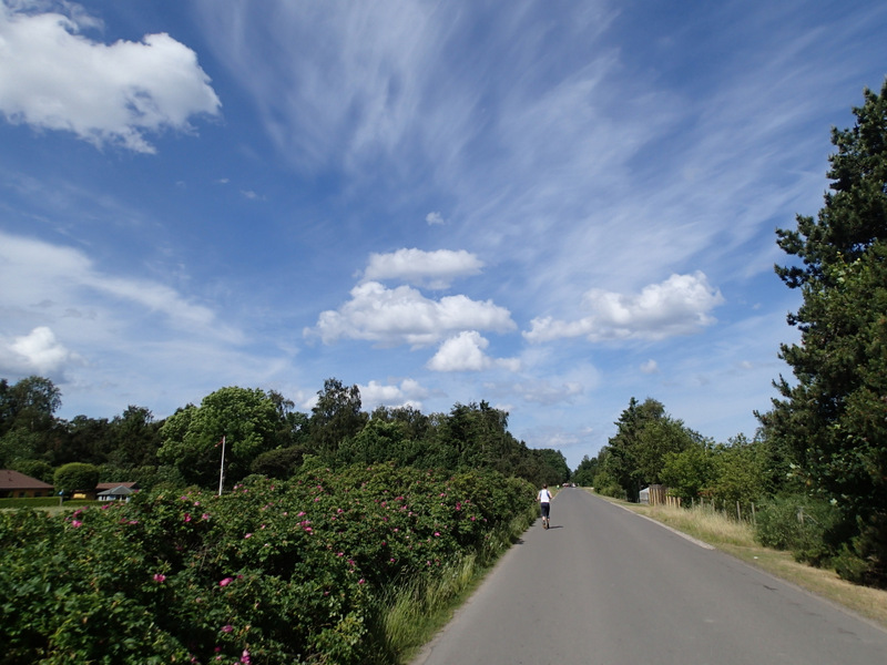 Storeblt Naturmaraton 2016 - Tor Rnnow