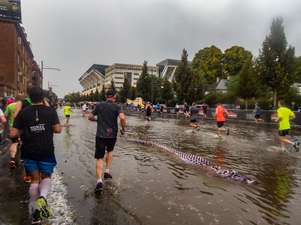 Copenhagen Half Marathon 2019 - Tor Rnnow