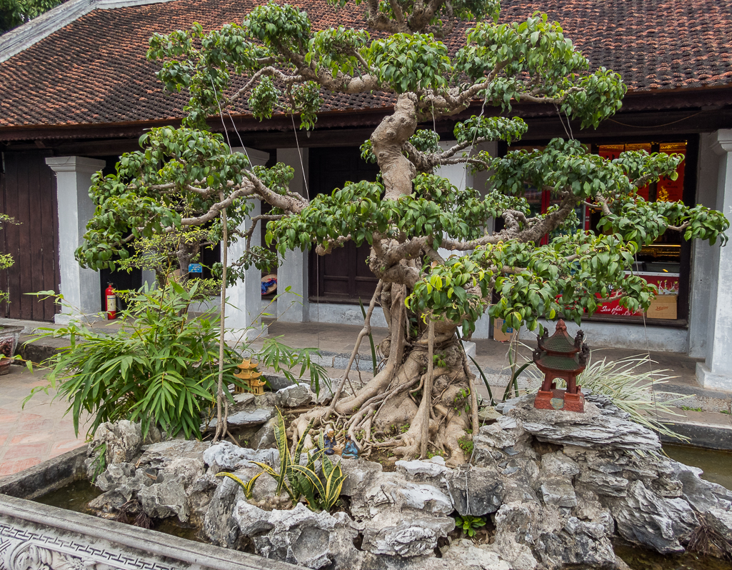 Halong Bay Heritage Marathon 2017 - Tor Rnnow