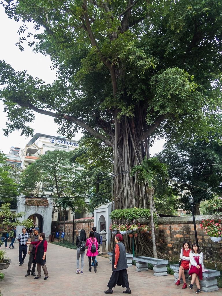 Halong Bay Heritage Marathon 2017 - Tor Rnnow