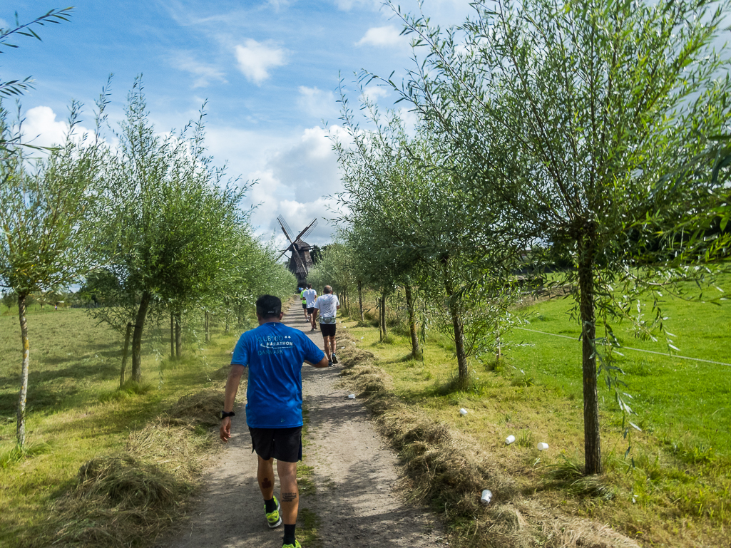 Helsingborg Marathon 2017 - bildar/pictures Tor Rnnow