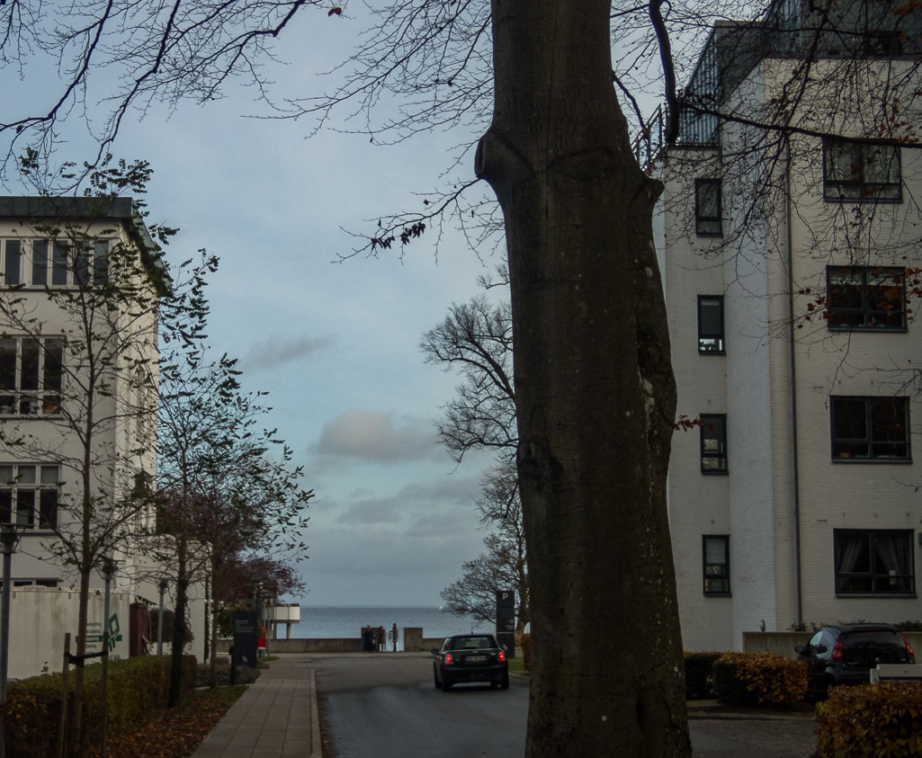 LbeMagasinet Rudersdal Marathon 2017 - Tor Rnnow