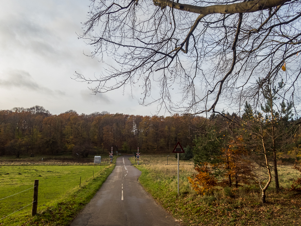 LbeMagasinet Rudersdal Marathon 2017 - Tor Rnnow