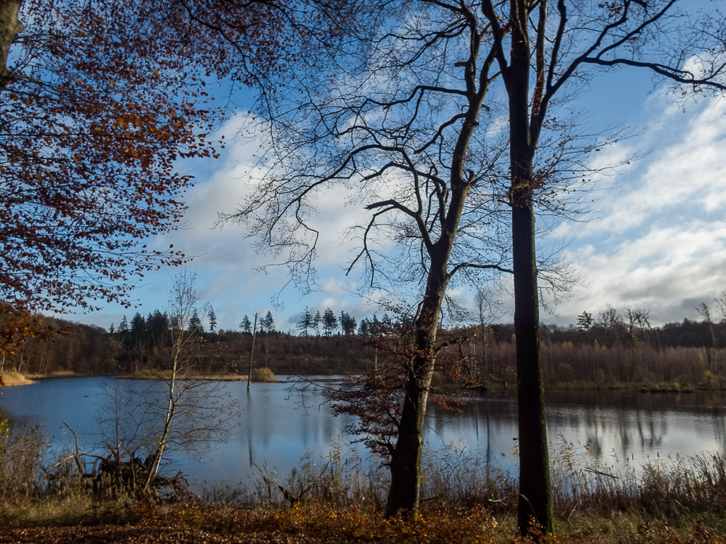 LbeMagasinet Rudersdal Marathon 2017 - Tor Rnnow