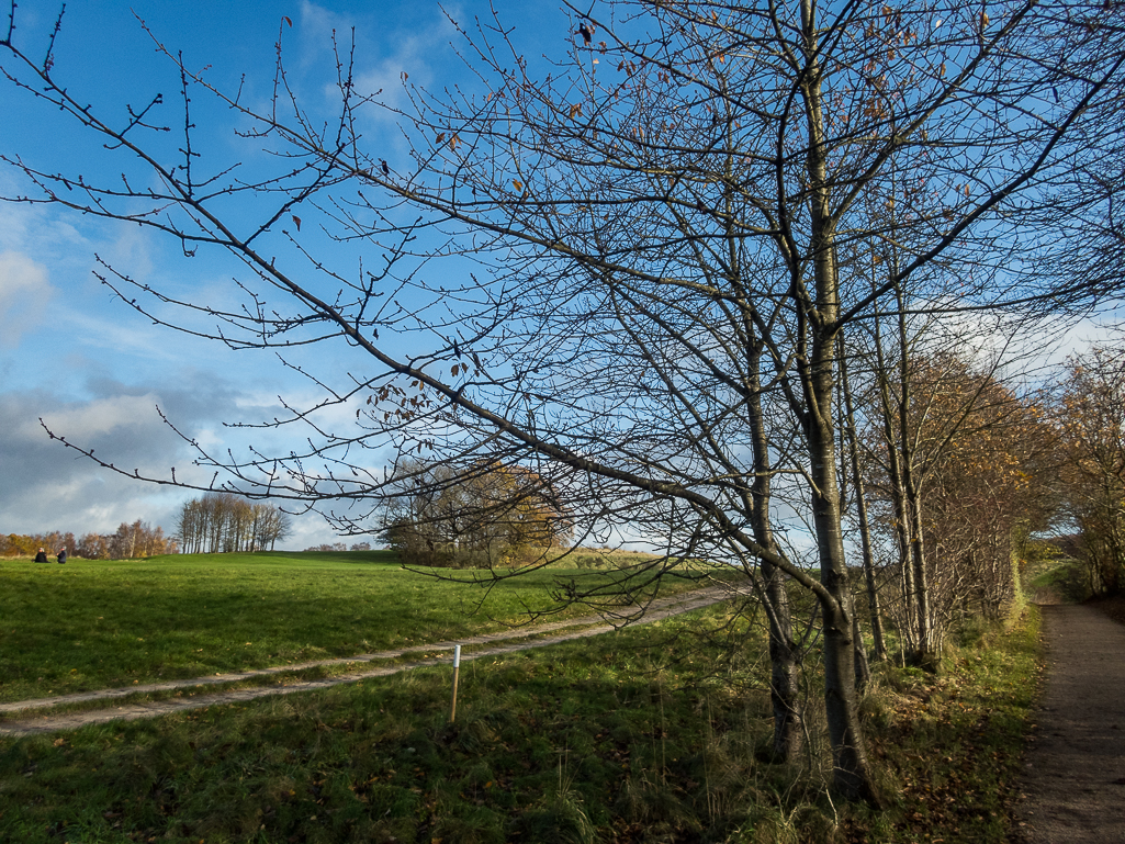 LbeMagasinet Rudersdal Marathon 2017 - Tor Rnnow