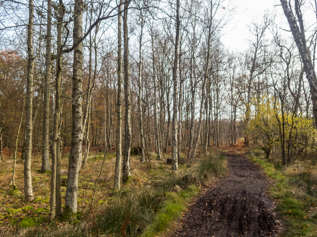 LbeMagasinet Rudersdal Marathon 2017 - Tor Rnnow