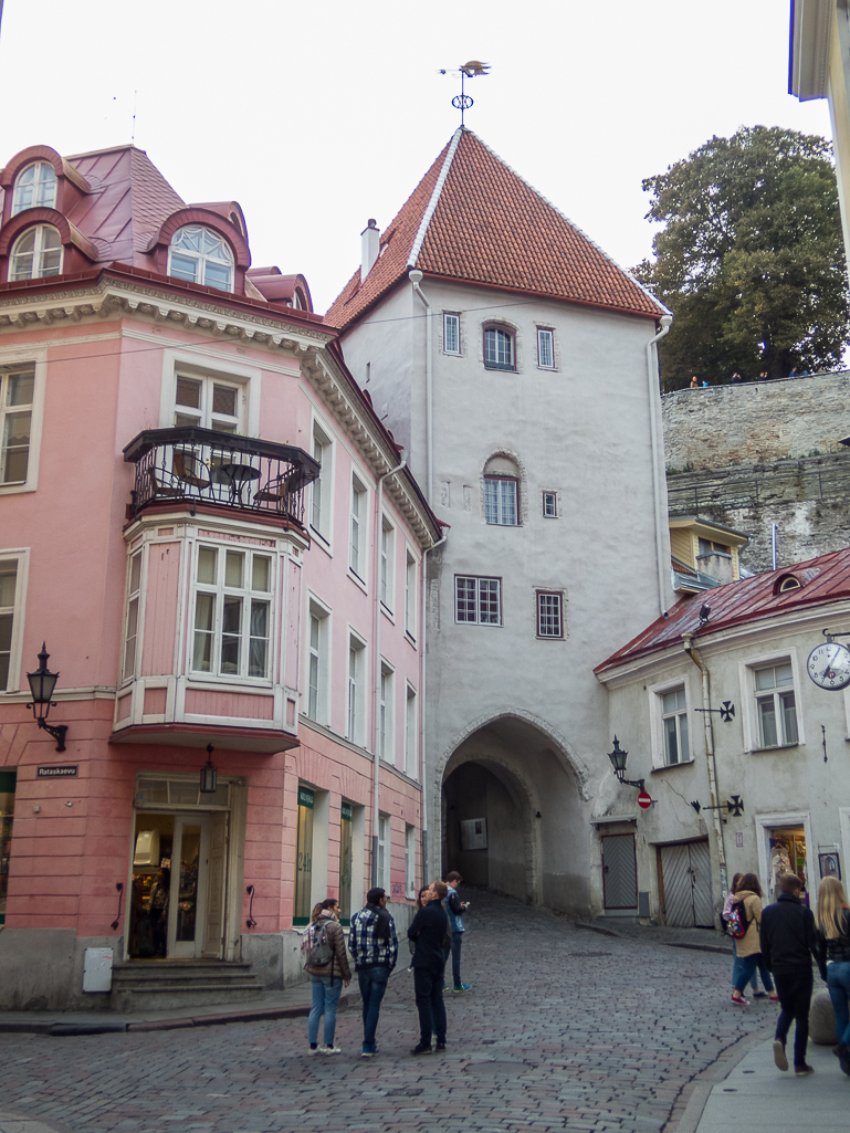 Tallinn Marathon 2017 - Tor Rnnow