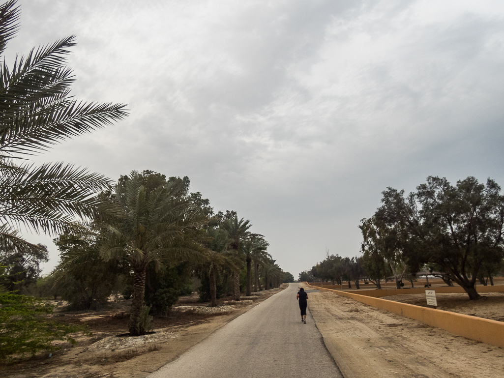 Bahrain Marathon 2018 - Tor Rnnow