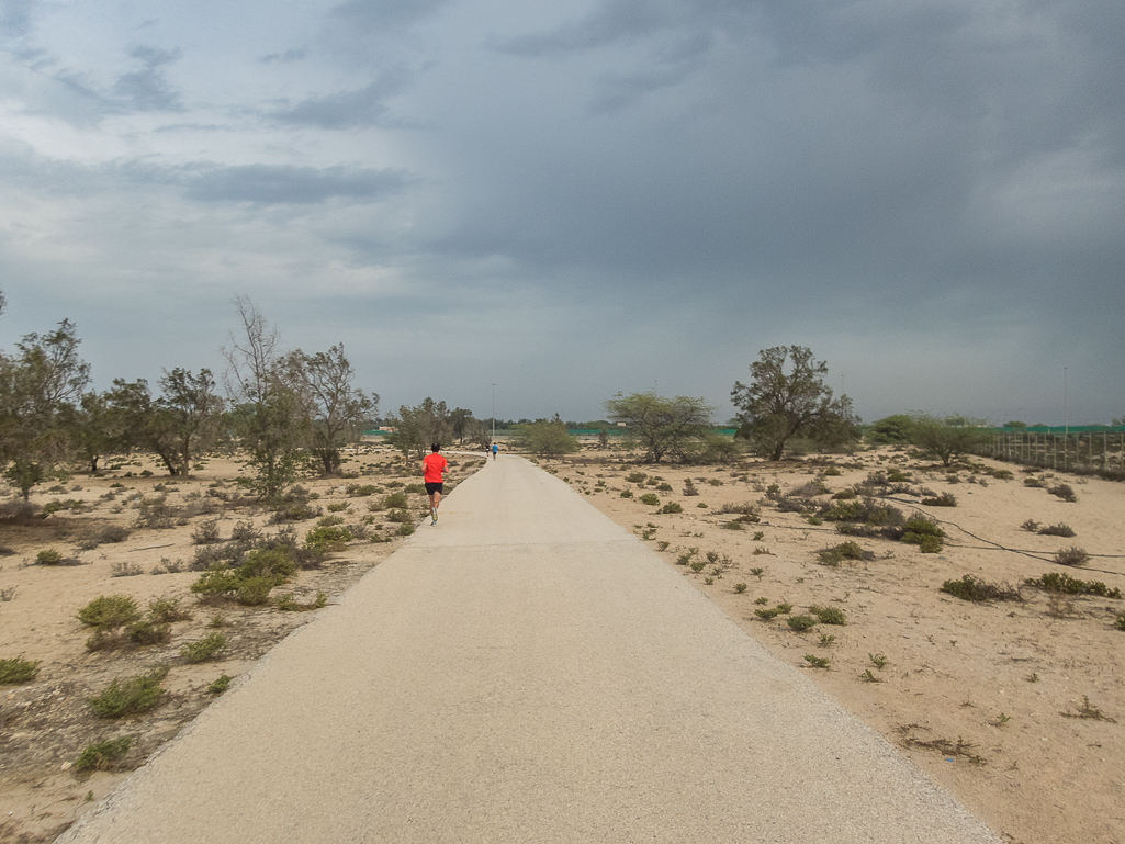 Bahrain Marathon 2018 - Tor Rnnow