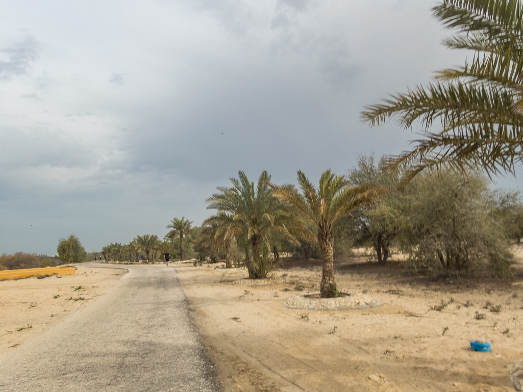 Bahrain Marathon 2018 - Tor Rnnow