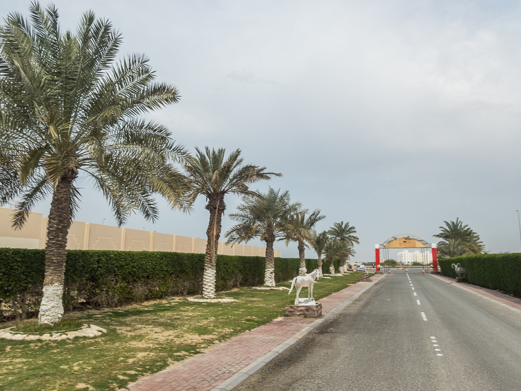 Bahrain Marathon 2018 - Tor Rnnow