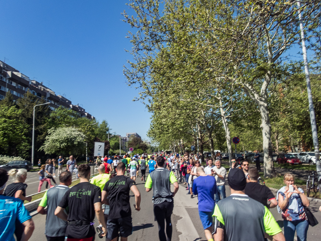 Belgrade Marathon 2018 - Tor Rnnow