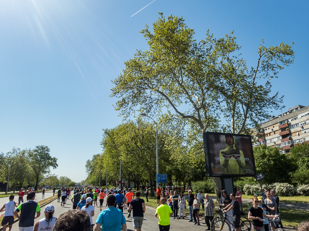 Belgrade Marathon 2018 - Tor Rnnow