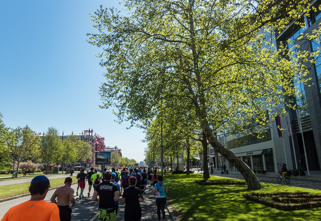 Belgrade Marathon 2018 - Tor Rnnow