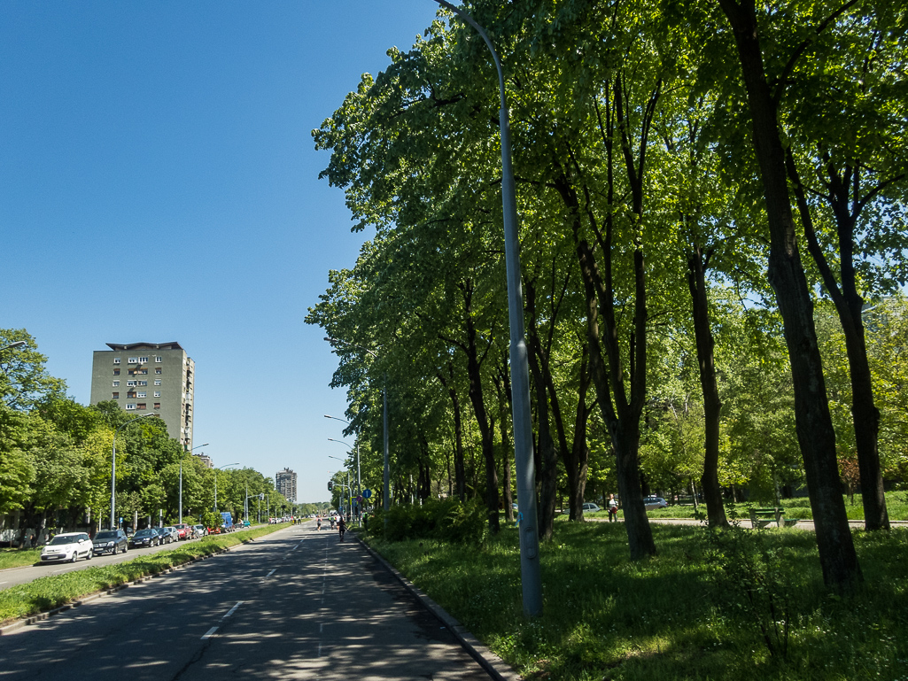 Belgrade Marathon 2018 - Tor Rnnow