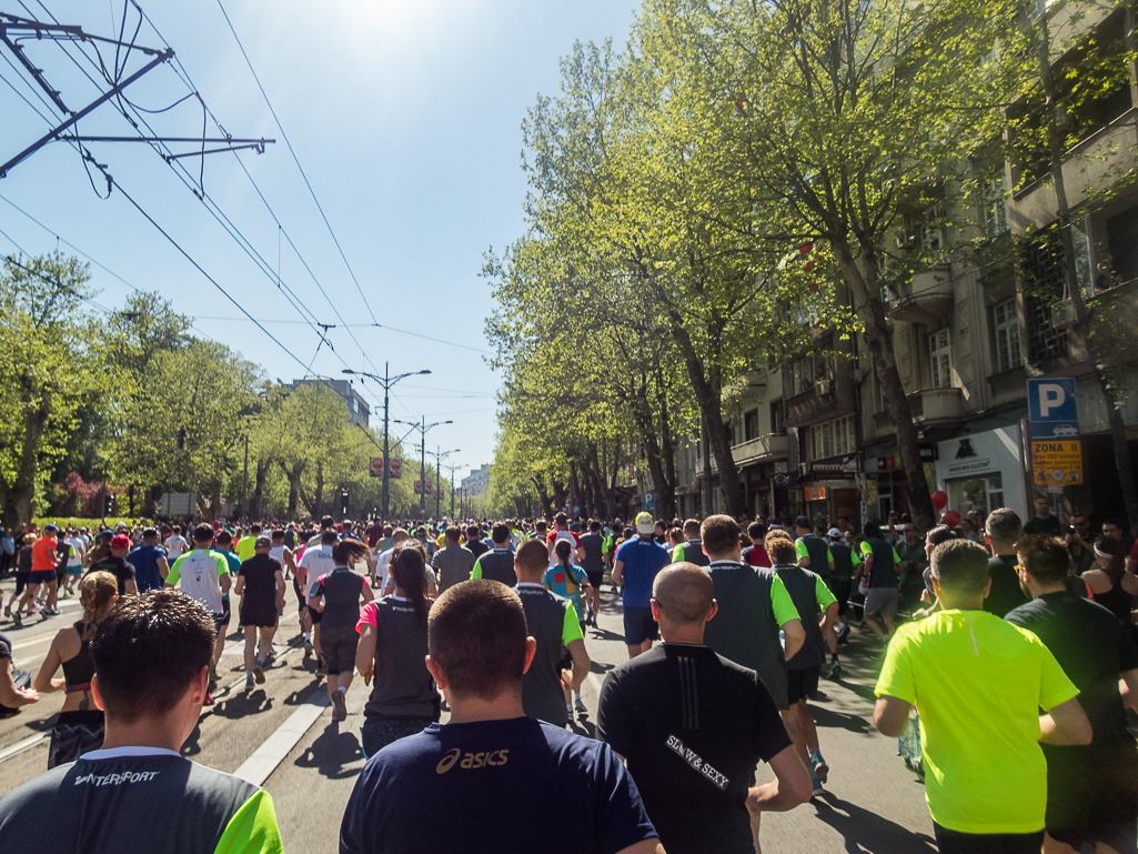 Belgrade Marathon 2018 - Tor Rnnow