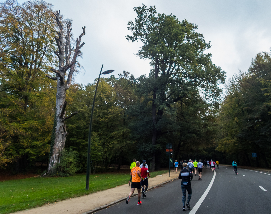 Brussels Airport Marathon 2018 - Tor Rnnow