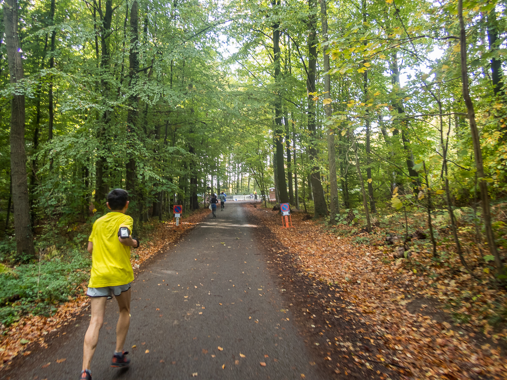 Brussels Airport Marathon 2018 - Tor Rnnow