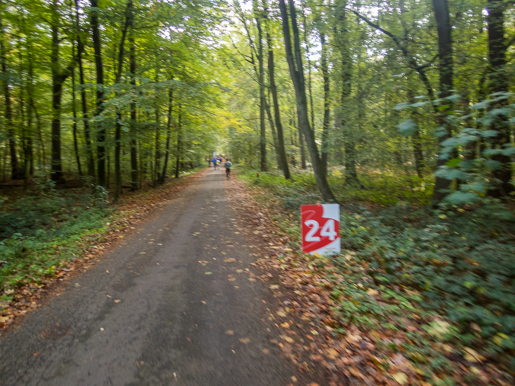 Brussels Airport Marathon 2018 - Tor Rnnow