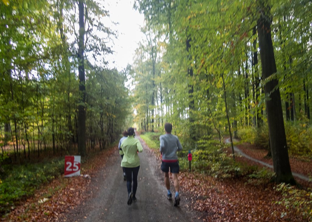 Brussels Airport Marathon 2018 - Tor Rnnow