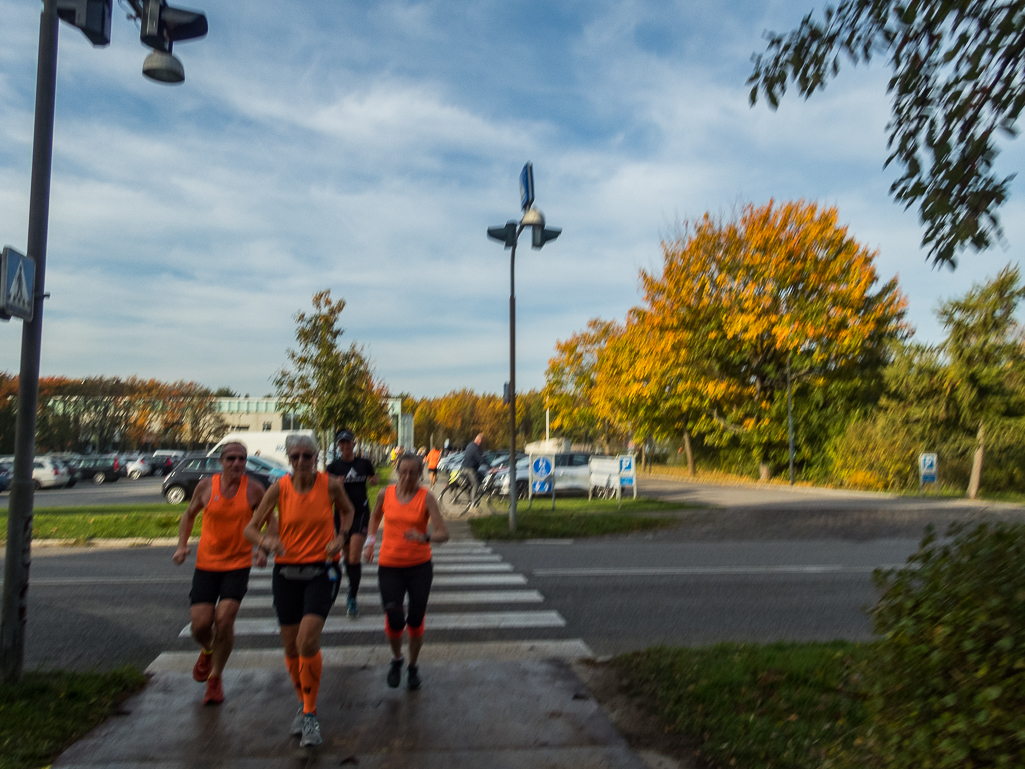 HTM Maraton 2018 - Tor Rnnow