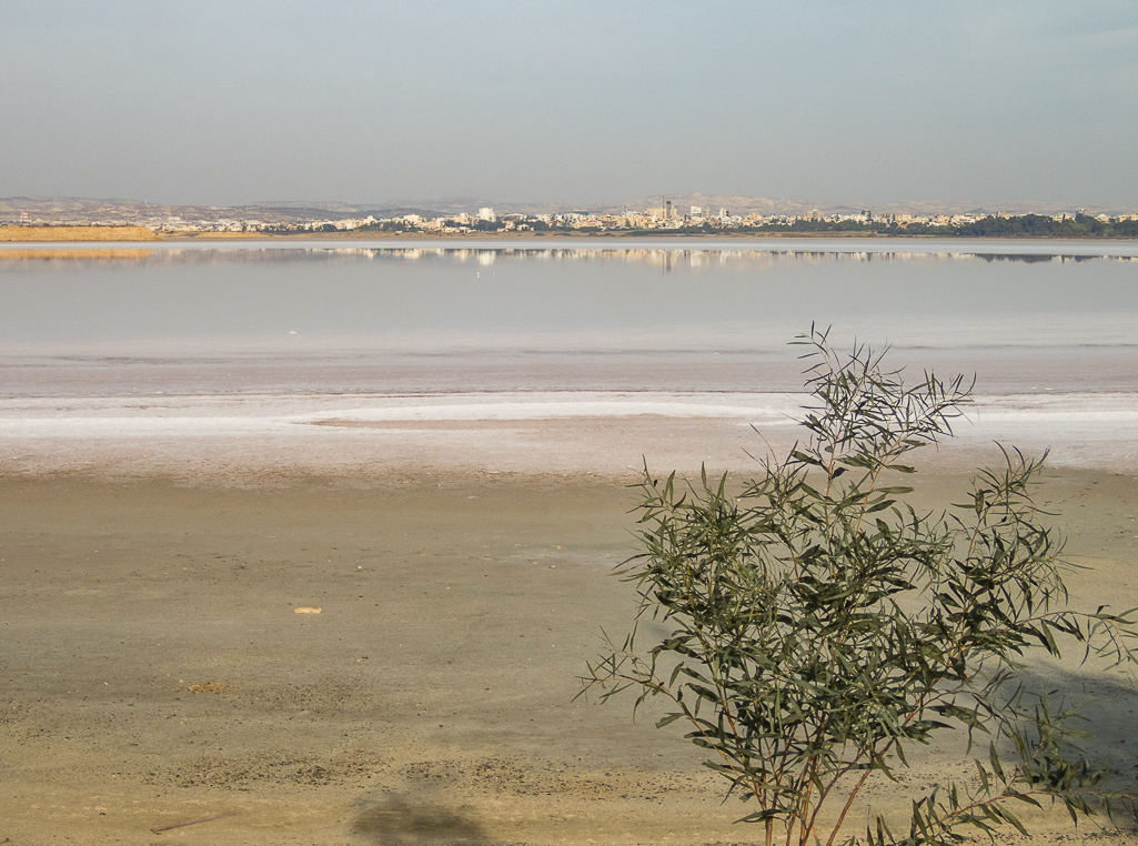 Larnaka Marathon 2018 - Tor Rnnow