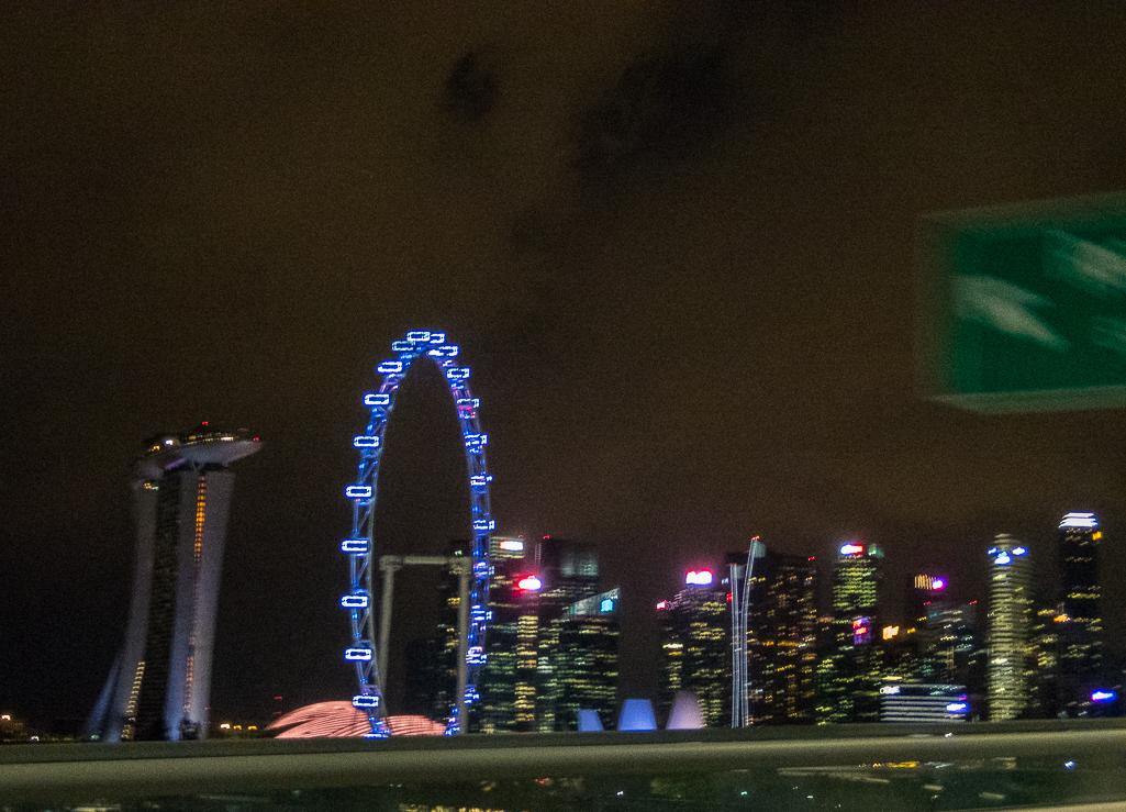 Standard Chartered Singapore Marathon 2018 - Tor Rnnow