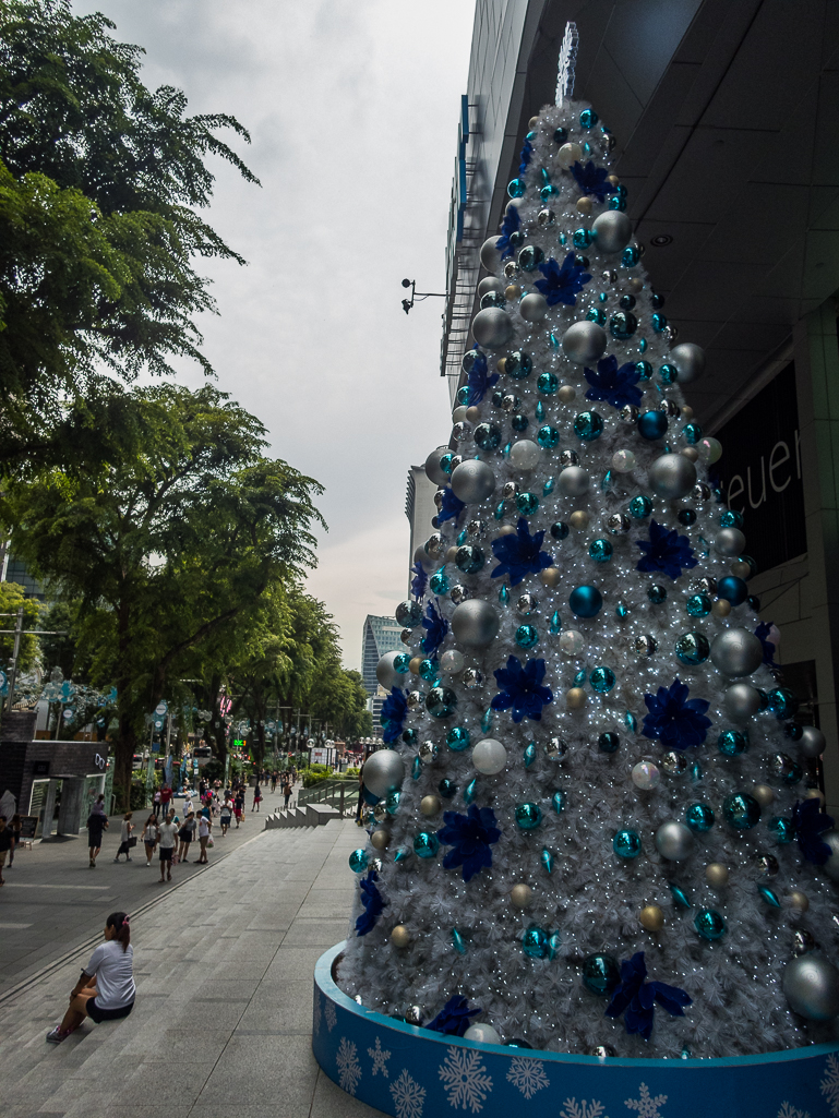 Standard Chartered Singapore Marathon 2018 - Tor Rnnow