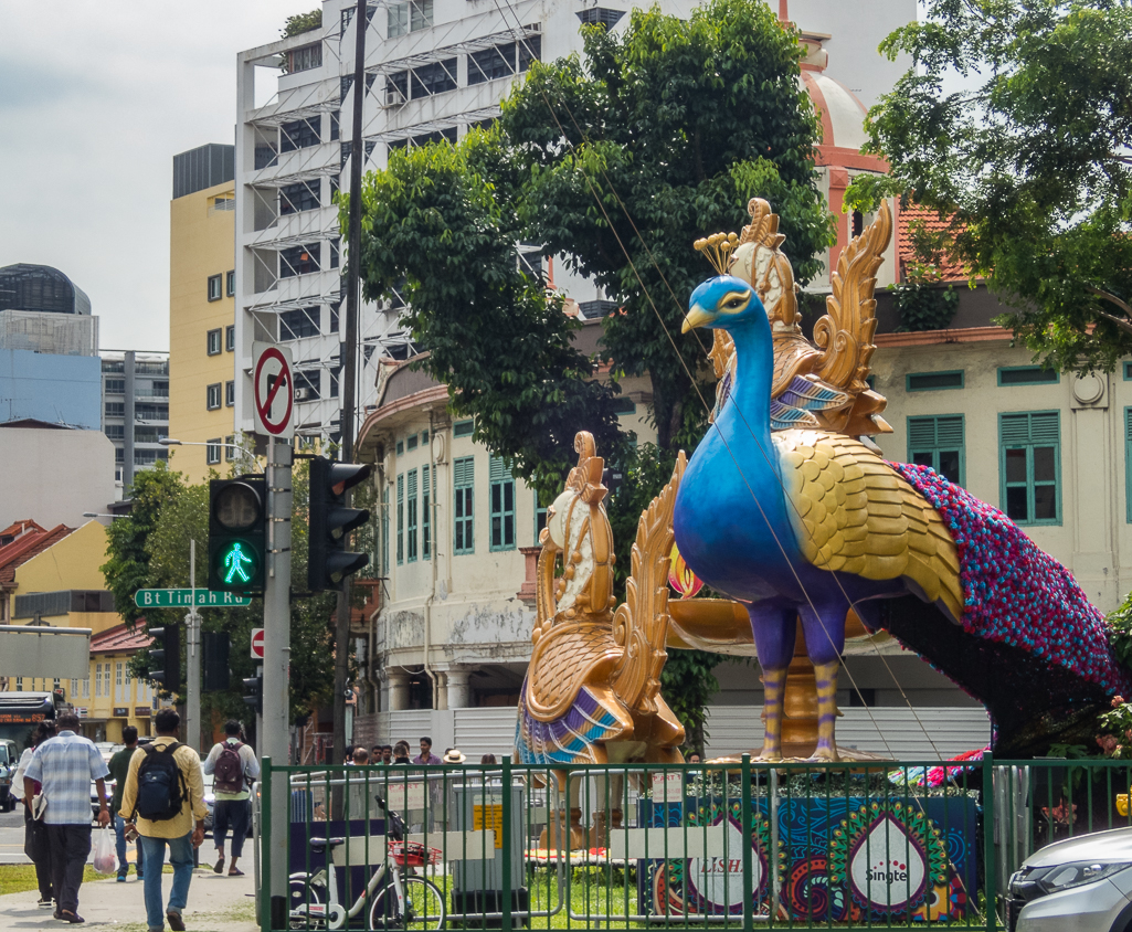 Standard Chartered Singapore Marathon 2018 - Tor Rnnow