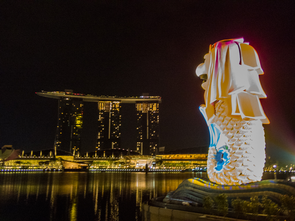 Standard Chartered Singapore Marathon 2018 - Tor Rnnow