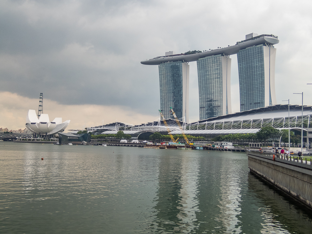 Standard Chartered Singapore Marathon 2018 - Tor Rnnow