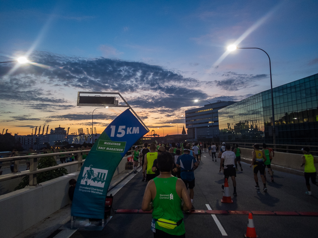 Standard Chartered Singapore Marathon 2018 - Tor Rnnow