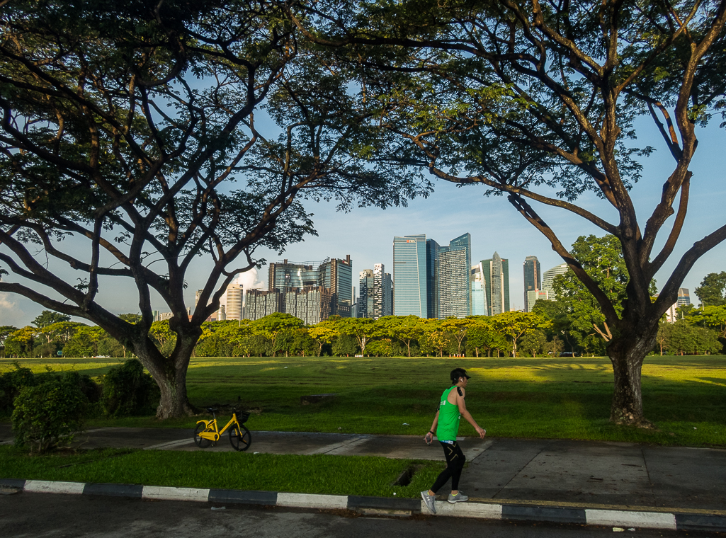 Standard Chartered Singapore Marathon 2018 - Tor Rnnow