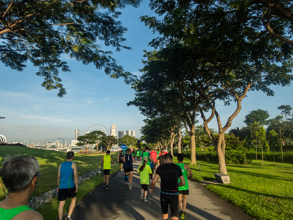 Standard Chartered Singapore Marathon 2018 - Tor Rnnow