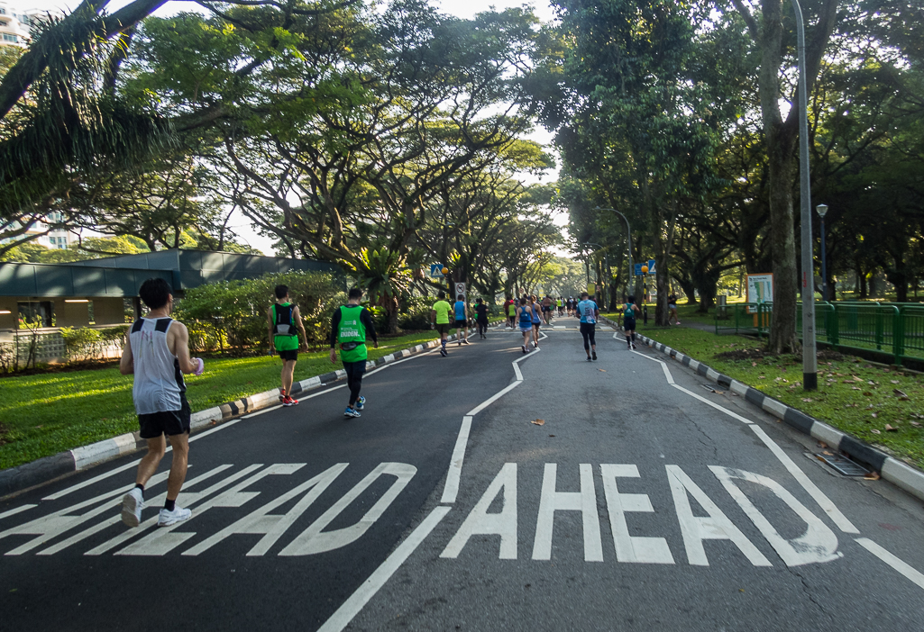 Standard Chartered Singapore Marathon 2018 - Tor Rnnow