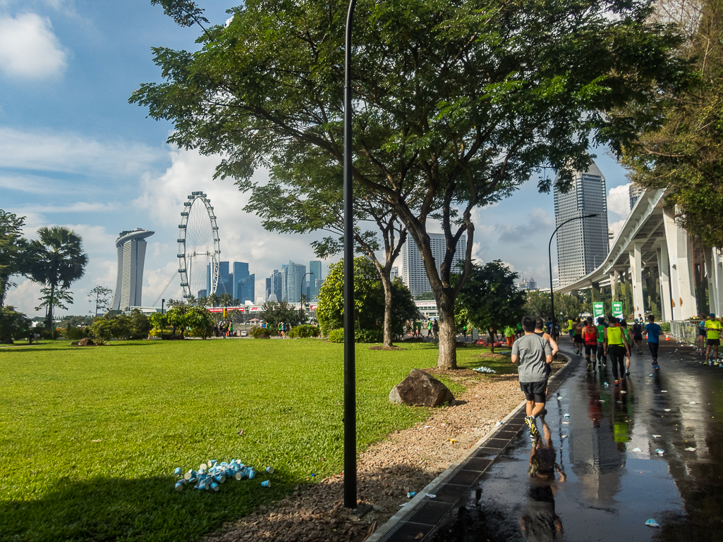 Standard Chartered Singapore Marathon 2018 - Tor Rnnow