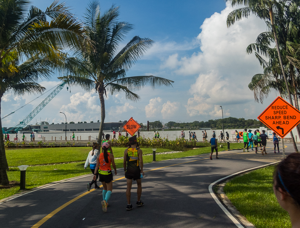 Standard Chartered Singapore Marathon 2018 - Tor Rnnow