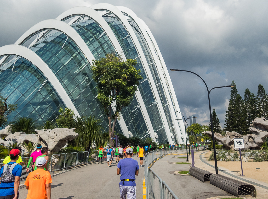 Standard Chartered Singapore Marathon 2018 - Tor Rnnow