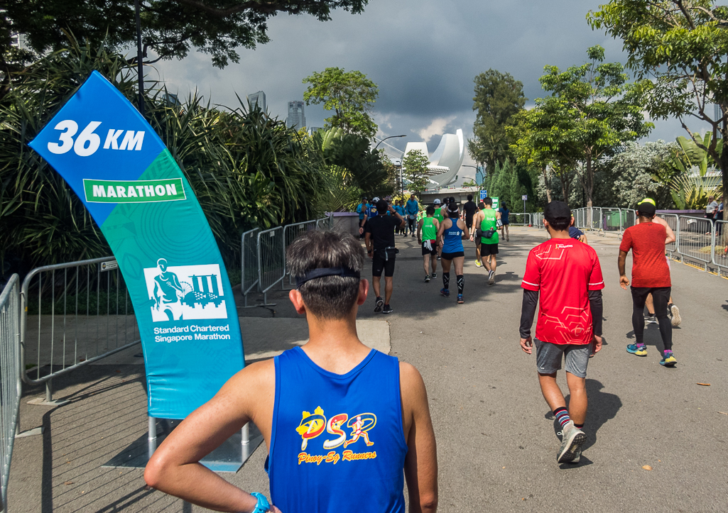 Standard Chartered Singapore Marathon 2018 - Tor Rnnow