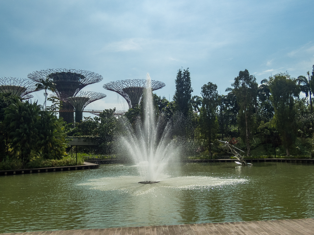 Standard Chartered Singapore Marathon 2018 - Tor Rnnow