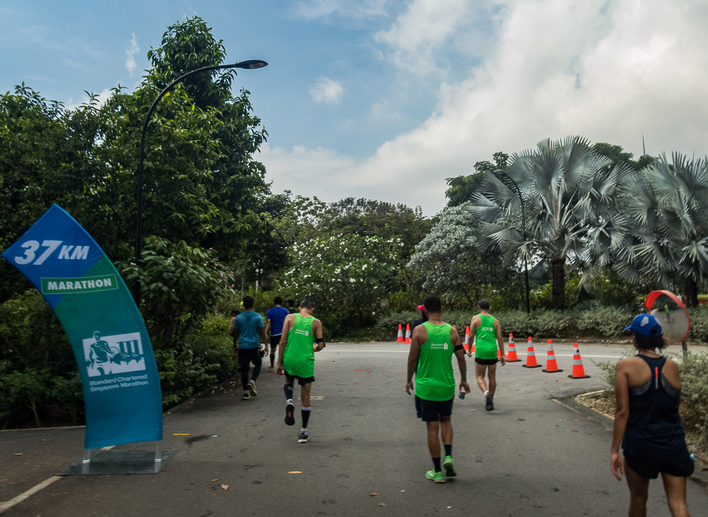 Standard Chartered Singapore Marathon 2018 - Tor Rnnow