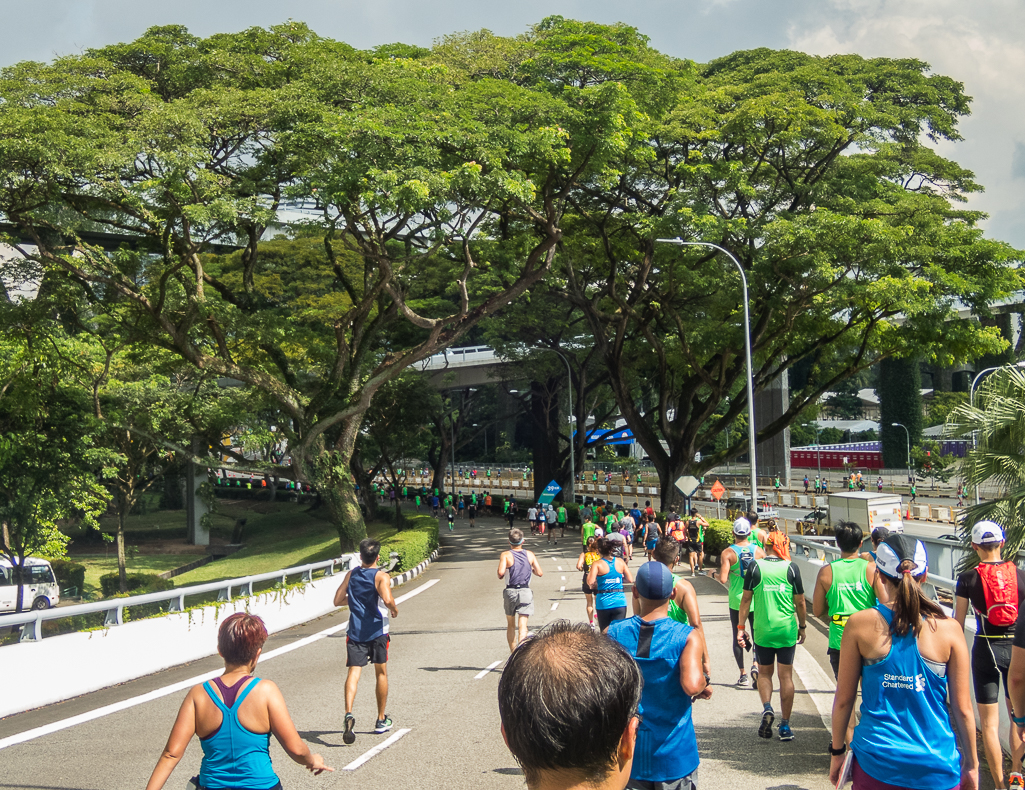 Standard Chartered Singapore Marathon 2018 - Tor Rnnow