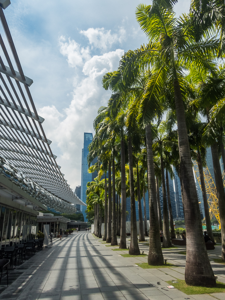 Standard Chartered Singapore Marathon 2018 - Tor Rnnow