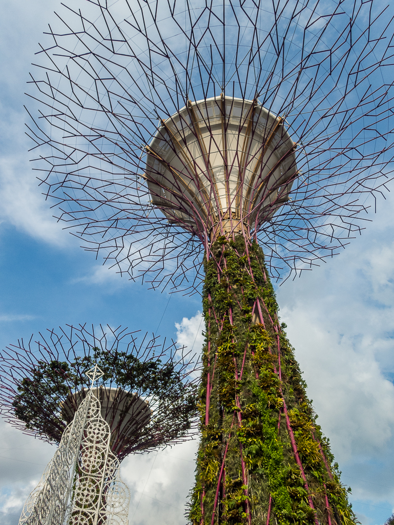 Standard Chartered Singapore Marathon 2018 - Tor Rnnow