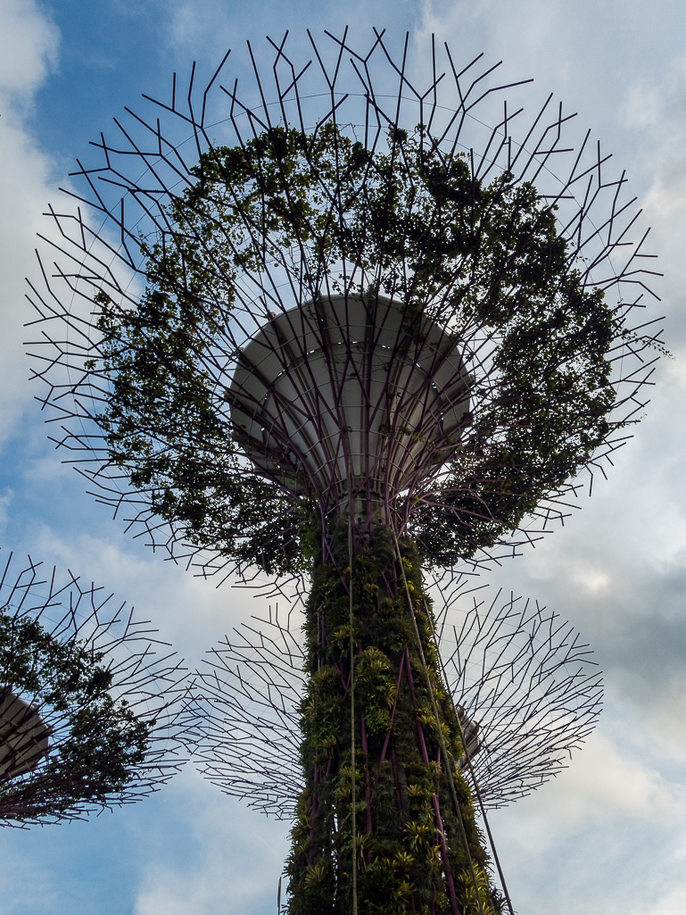 Standard Chartered Singapore Marathon 2018 - Tor Rnnow