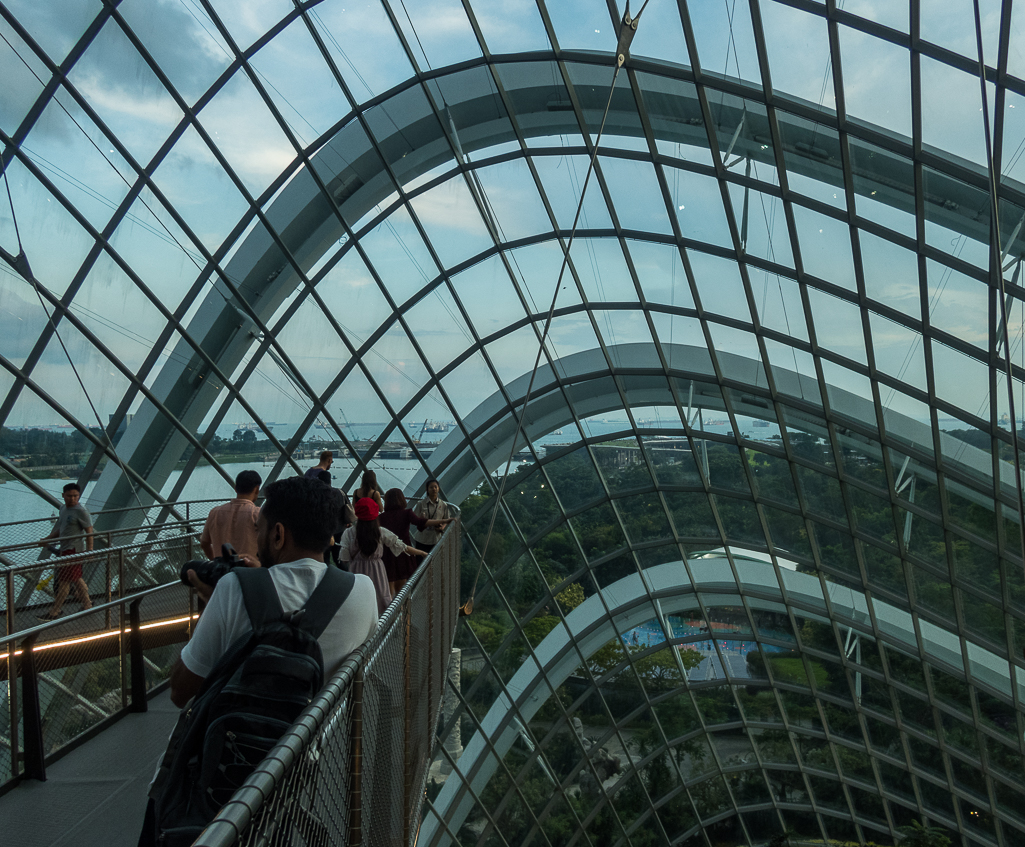 Standard Chartered Singapore Marathon 2018 - Tor Rnnow